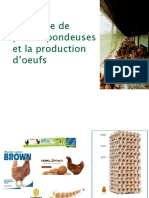 Production D'oeuf de Consommation