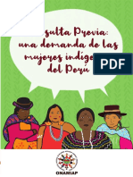 CP Una Demanda de Las Mujeres Indigenas