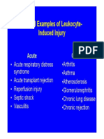 Clinical Examples of Leukocyte-Induced Injury: Acute Chronic