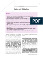 Amino Acid Catabolism - Chapter 8 - 2014