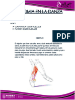 ANATOMIA EN LA DANZA (2)