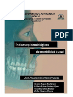  Indices Epidemiologicos