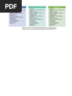 Lineamientos para Trabajo de Grado de Los Programas de especialización-ECEDU