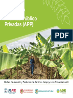 Metodología - Alianzas Público Privadas (APP) - 2.pdf