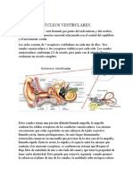 Núcleos vestibulares y su función