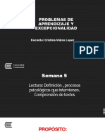 Semana 5 PDF