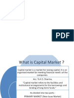 Capital Market