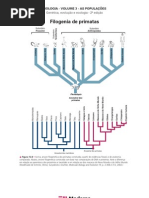 Biologia - Volume 03 - As Populações 12 Filogenia de primatas