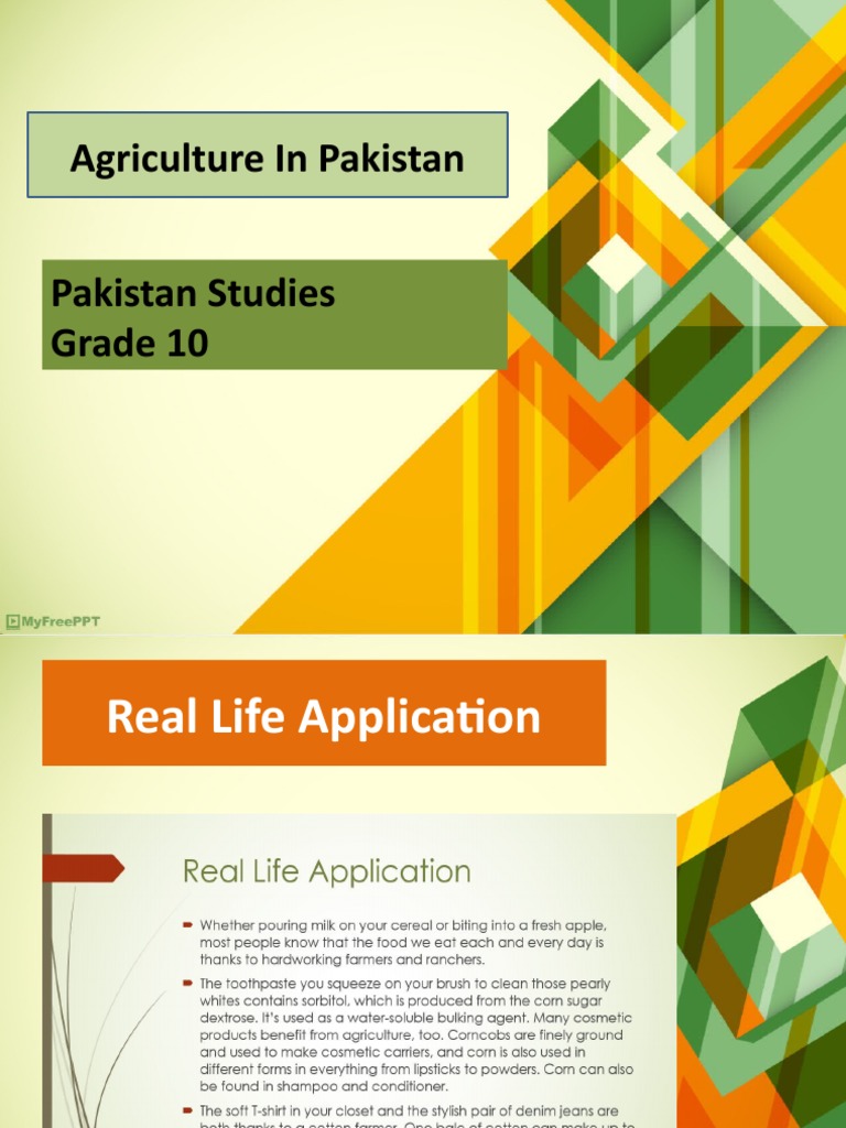 Importance of Agriculture in Pakistan | PDF | Wheat | Agriculture