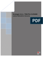 Strategie Closani Final 1 PDF