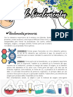Bioelementos PDF