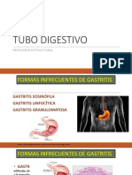 Tubo Digestivo PDF