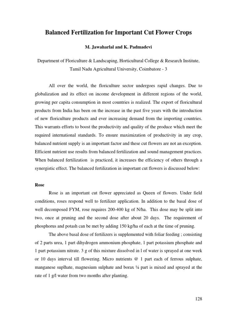 Balanced Fertilization For Rose, Carnation, Anthurium, Chrysant
