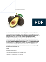 Aguacate Hass Trabajo Logistica