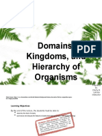 2.-Domains-Kingdoms-and-Hierarchy 2