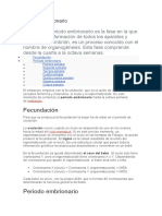 desarrollo embrion maphre.docx