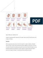 desarrollo_fetal2.pdf