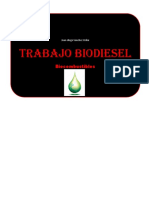 Trabajo Biodiesel - Juan Diego PDF