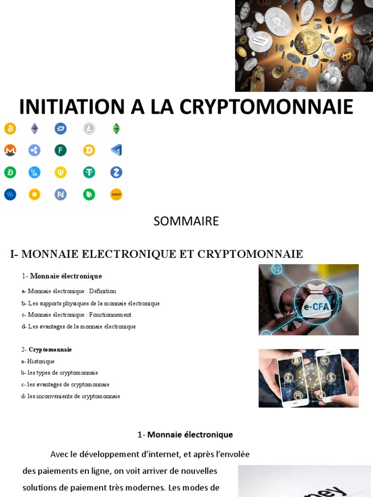 Introduction à la Cryptomonnaie | PDF | Crytomonnaies | Argent