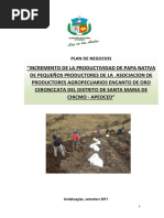 PLAN DE NEGOCIOS INCREMENTO DE LA PRODUCTIVIDAD DE PAPA NATIVA