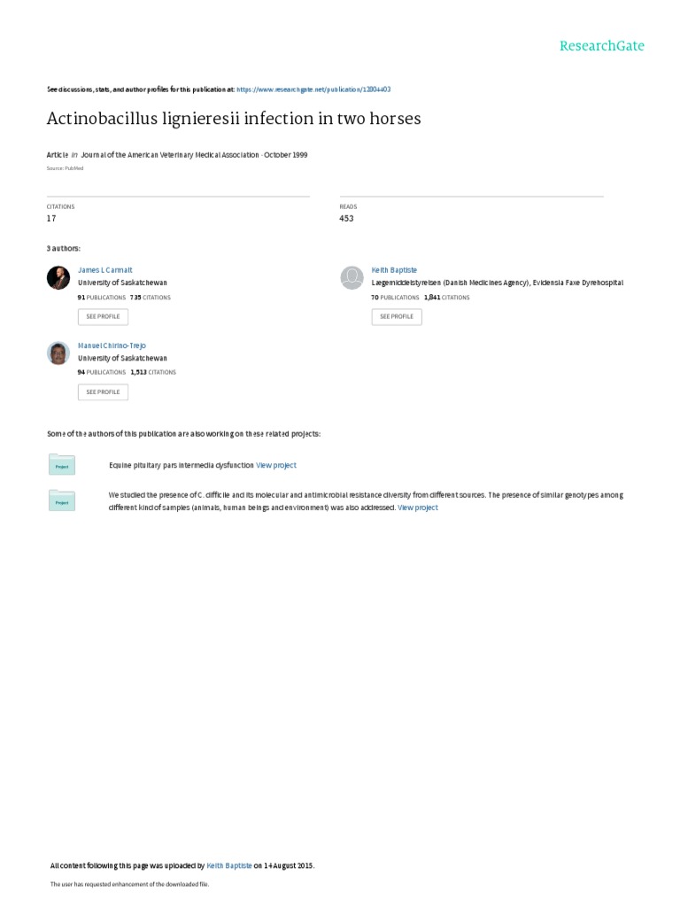 Actinobacillus lignieresii in Horses | PDF