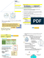 Ficha 4. PRIMERO CCSS