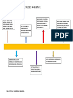 Linea de Tiempo Del Medio Ambiente