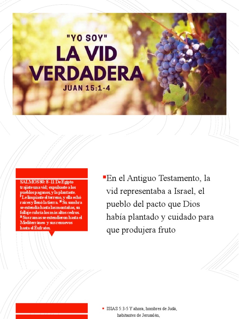 Yo Soy La Vid Verdadera | PDF | Vitis | Biblia