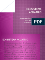 Ecosistema Acuatico