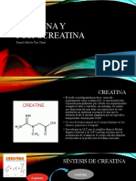 Creatina y Fosfocreatina