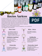 412273942-Promo-Rocios.pdf