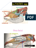 08-Osteologi Faciei
