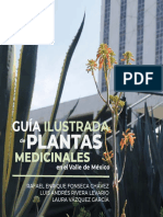 guia-ilustrada-de-plantas-medicinales-valle-de-mexico-inpi.pdf