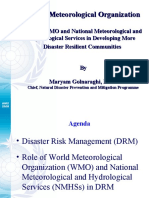 WMO DPM Presentation
