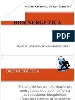 6 Bioenergetica