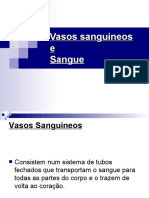 Vasos Sanguineos