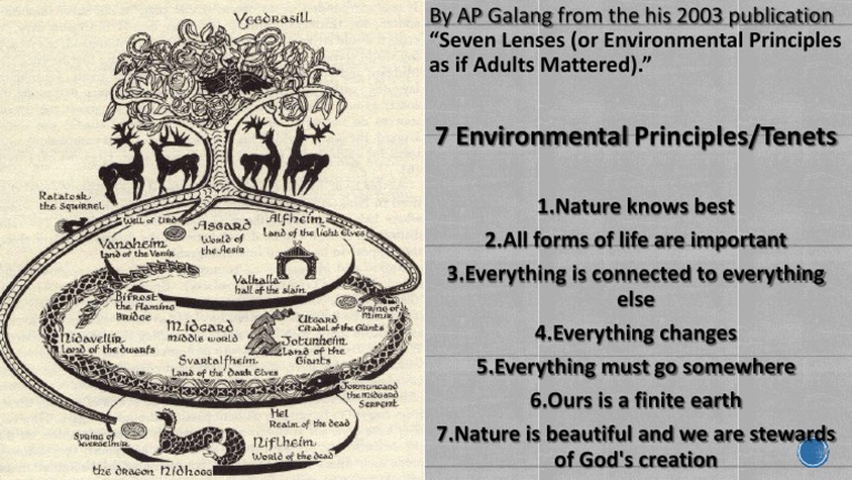 Seven Environmental Principles Explained | PDF