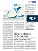 Butterbach, Biofuel Production On The Margins, Nature 493 Jan 2013 p483