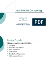 Wireless and Mobile Computing: University of Gujrat