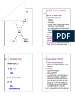 Metabolisma asam amino.pdf