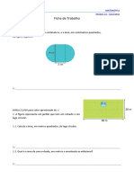 FT2- Areas.pdf