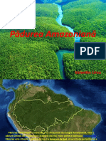Padurea Amazoniana