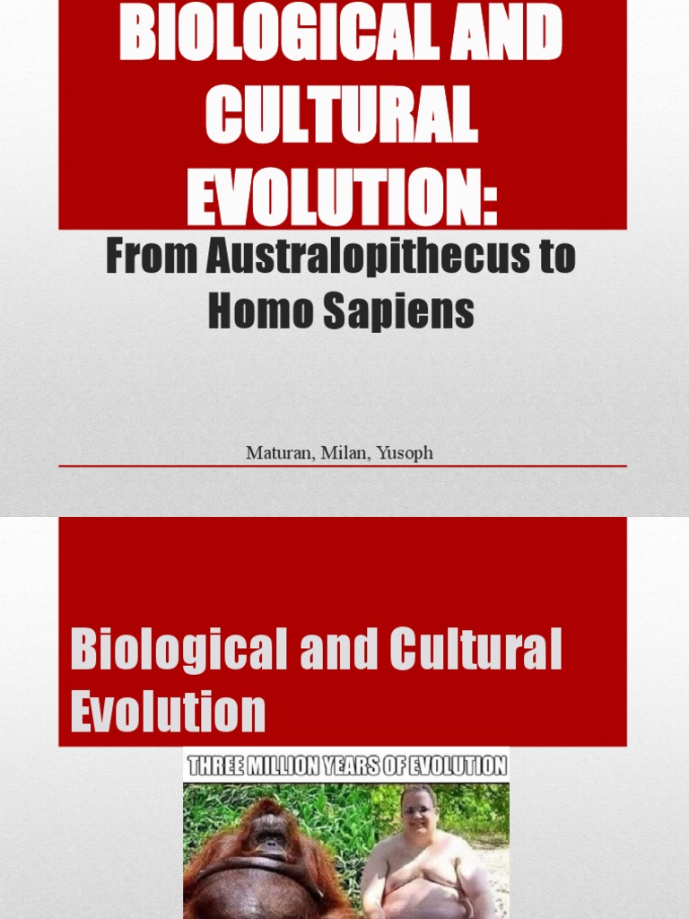 Evolution from Australopithecus to Homo Sapiens | PDF | Homo | Pliocene