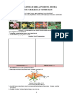 LKPD Sistem Reproduksi 3