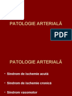 6_artere (1).ppt