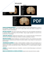 Topografia SNC