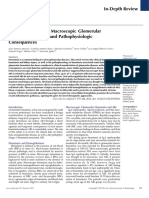 Patofisiologi Hematuria