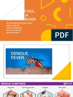 Dengue, Chikungunia, Leptospirosis Malaria
