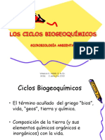 Losciclosbiogeoqumicos 100616103457 Phpapp01 PDF