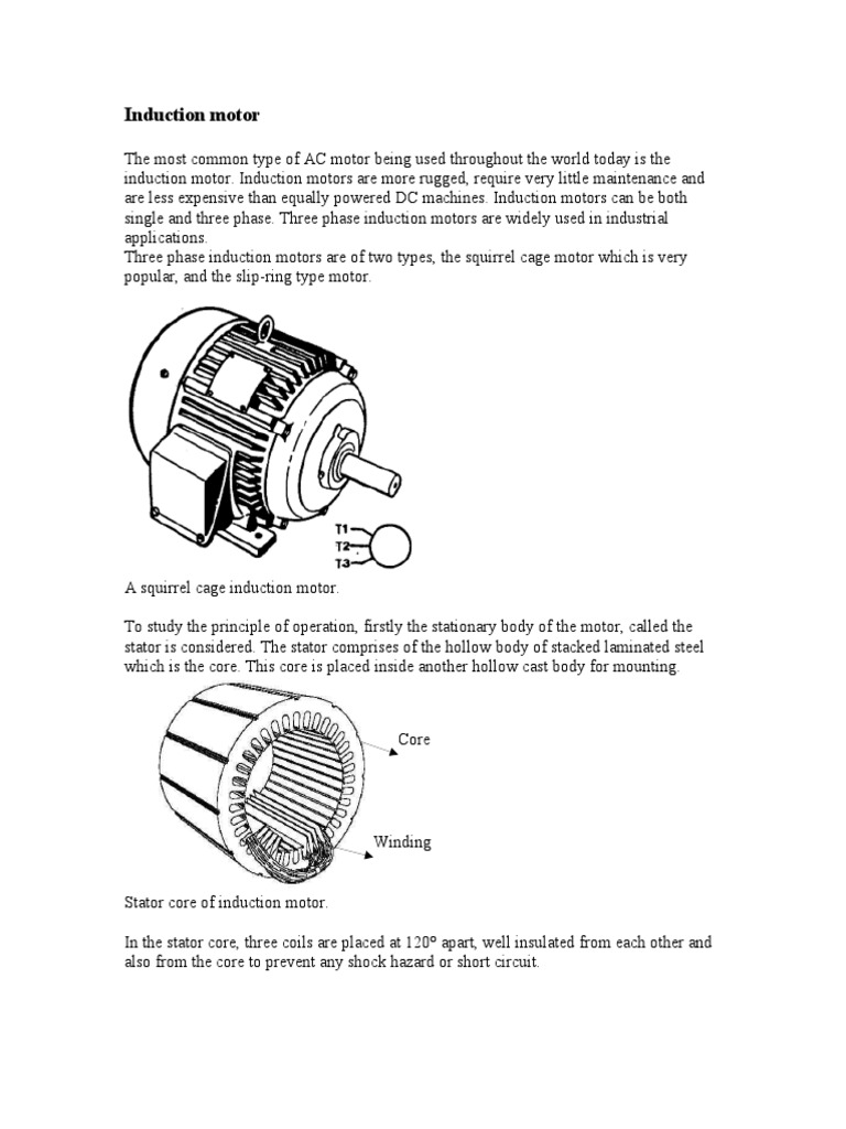 Induction Motor | PDF | Electric Motor | Electrodynamics